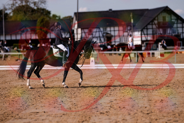 2026_10_03_Siefer-Hof_121536_Z81_17323873 | Professionelle Reitsport-, Turnier- und Eventfotografie von Robert Broda. Galerien mit ausgewählten und bearbeiteten Bildern direkt online ansehen und bestellen.