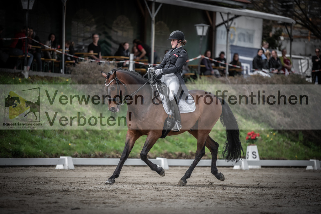 DSC_2445 | equestrian-live-com
