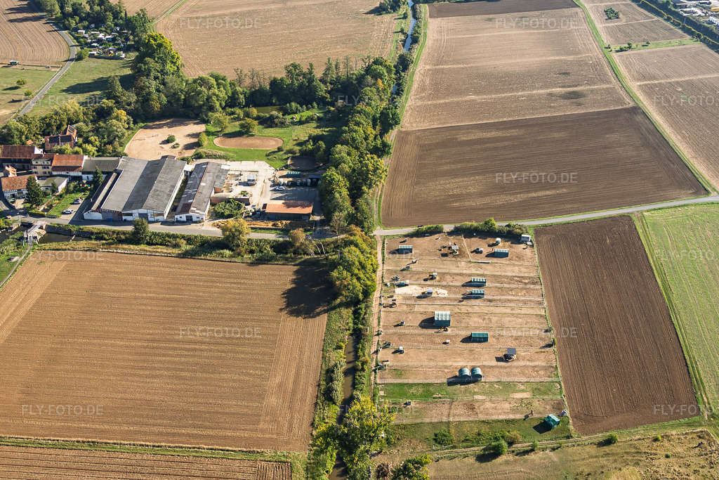 Luftbild: Konfurter Mühle mit Pferdepraxis Bernius und Tierärztl. Gemeinschaftpraxis Matthias Gehb u. Dr. Edith Bernius in Babenhausen im Bundesland Hessen in Deutschland. – Foto: IMG_159341.jpg vom 22.09.2026 durch Werner Riehm/FLY-FOTO.de – Auflösung des Originals: 5510 x 3673 px – WWW.PFERDEPRAXIS-BERNIUS.DE