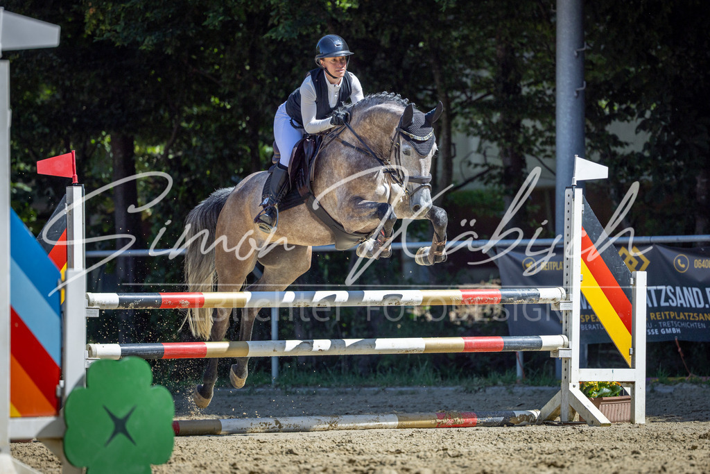 20260704-_3LI7785 | Tierfotografie Pferde, Hunde, Katzen, Haustiere.
Turnierfotografie Reitturniere, Reiten, Springreiten, Dressur in Hanau, dem Main-Kinzig-Kreis und dem Rhein-Main- Gebiet um Frankfurt