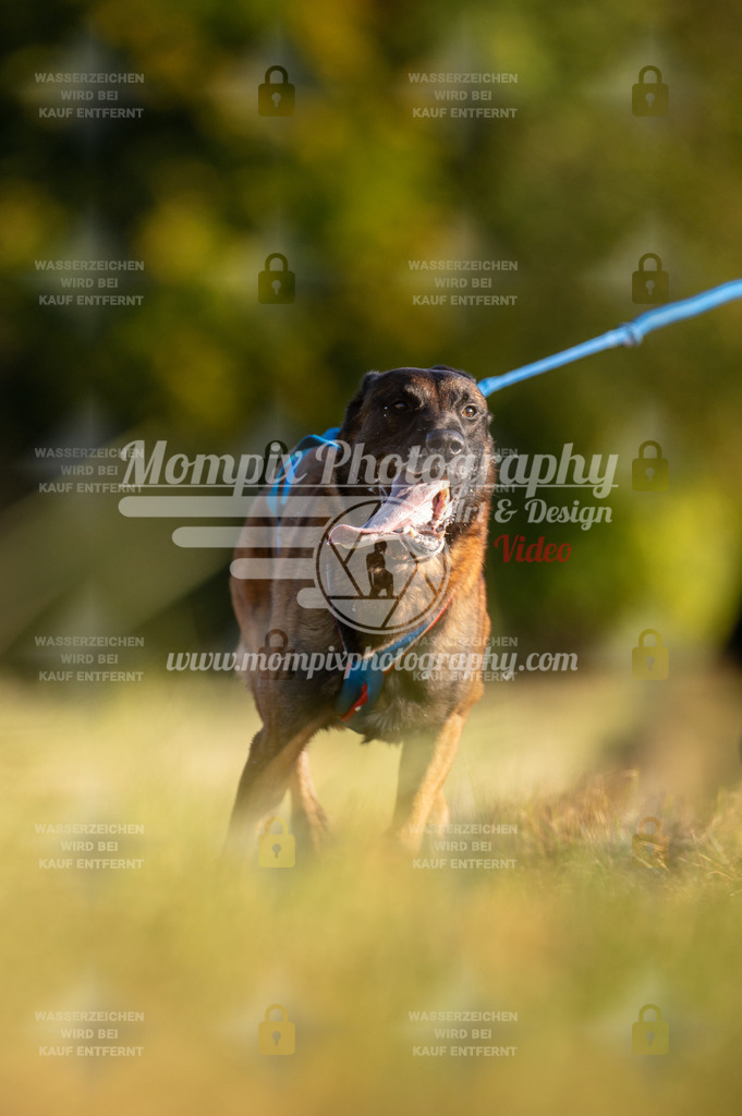 CDLBDB_15_10_2023_Dimanche-161 | PayLife