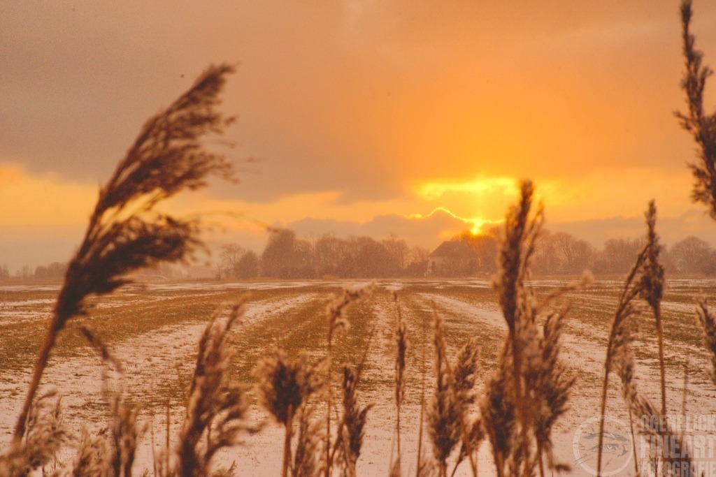 _DSC7485 | Björn Thiemann; Ogenblick.de; Fotografie; Photograph; Landscape, Pellworm, Schleswig-Holstein; Inselfotograf; Inselfotografien; Wattenmeer; National-Park; Naturschutzgebiet; Leuchtturm; Lighthouse; Leinwandbilder; Kalender; Pellworm Kalender;  - Realisiert mit Pictrs.com