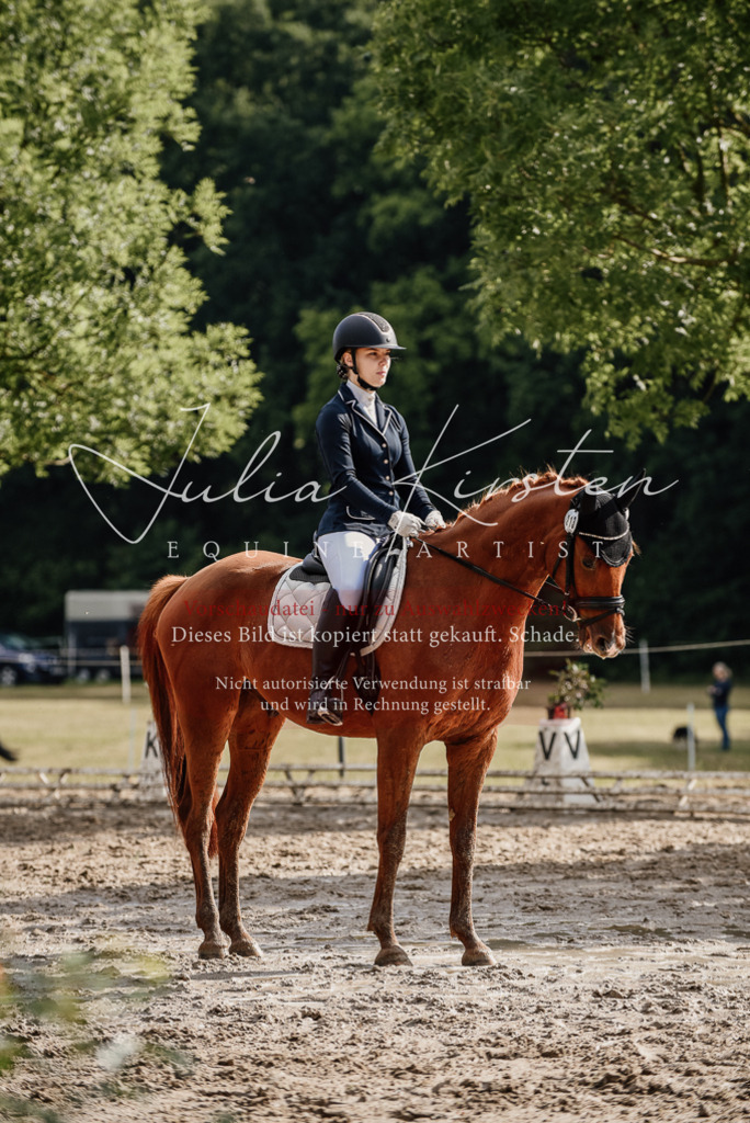 DSC_8884 | Pferde- und Turnierfotografie in Westsachsen. Pferdeportraits, Auftragszeichnungen und intuitive Kunst.