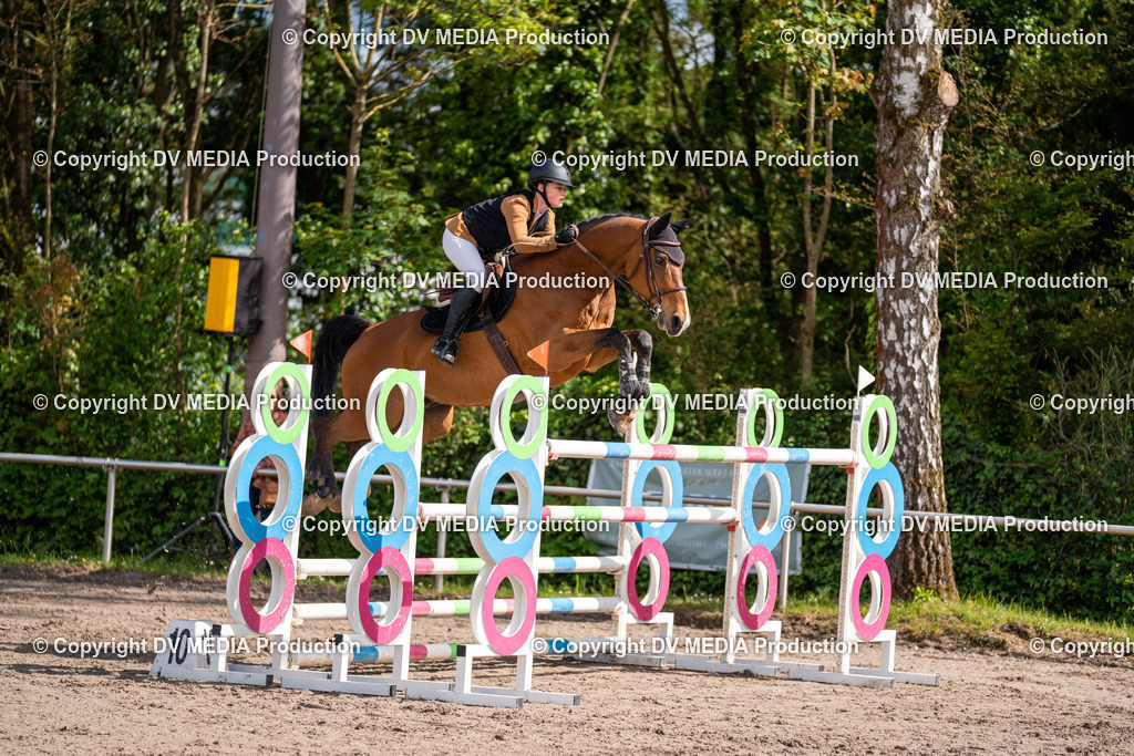 Eppelheim Tag 3-321 | dv-media-shop - Realisiert mit Pictrs.com