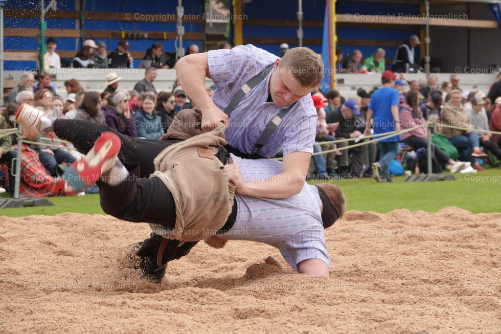 DSC04075 | Schwingen - Realisiert mit Pictrs.com