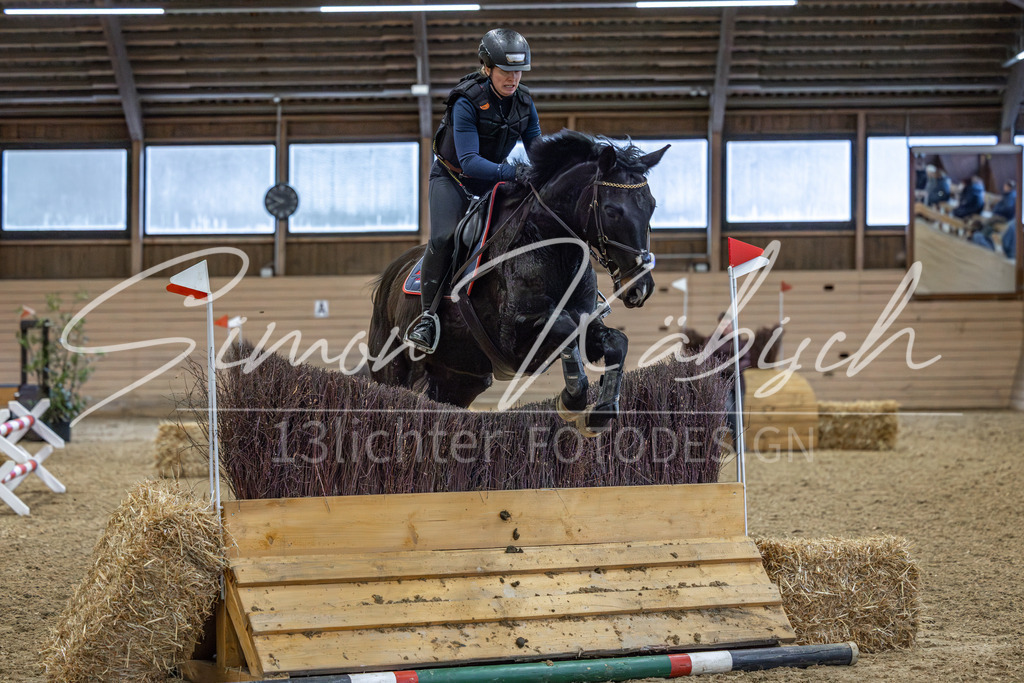 20260222-_3LI1318 | Tierfotografie Pferde, Hunde, Katzen, Haustiere.
Turnierfotografie Reitturniere, Reiten, Springreiten, Dressur in Hanau, dem Main-Kinzig-Kreis und dem Rhein-Main- Gebiet um Frankfurt