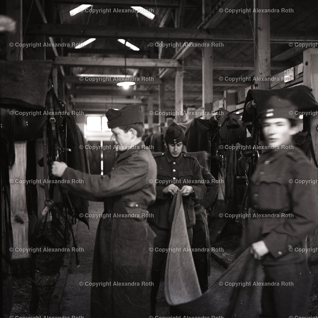 Aarau_0314 | onlineshop - Realisiert mit Pictrs.com