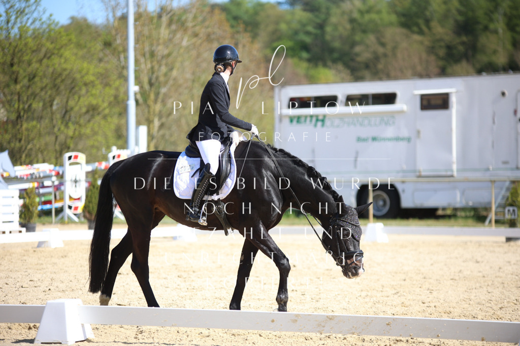 IMGT2332 | pl-fotografie