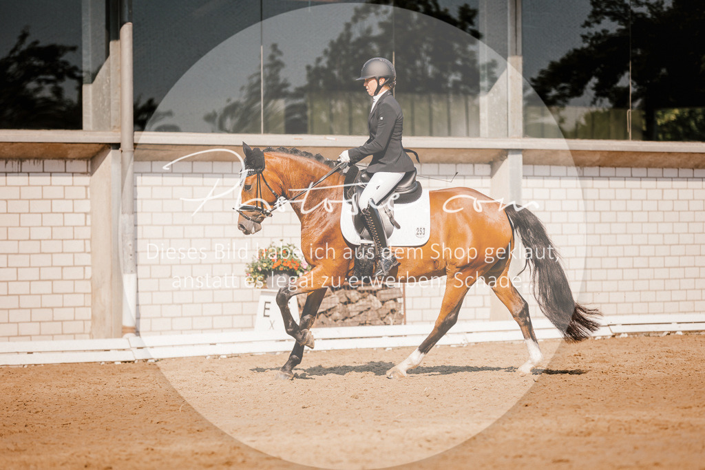 3I6A9058 | Stimmungsvolle Portraits und Reitsportfotografie im Ruhrgebiet und im Münsterland.

Pferdefotografie, Hundefotografie, Tierfotografie, Reportagen, Portraits von Tier und Mensch, Turnierfotografie in Bochum, Recklinghausen, Marl, Haltern am See, Dülmen.. - Realisiert mit Pictrs.com