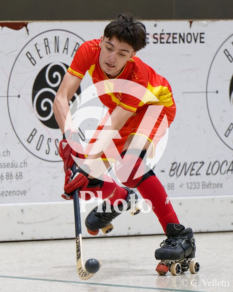 DSC_4416 | Velletri Photo