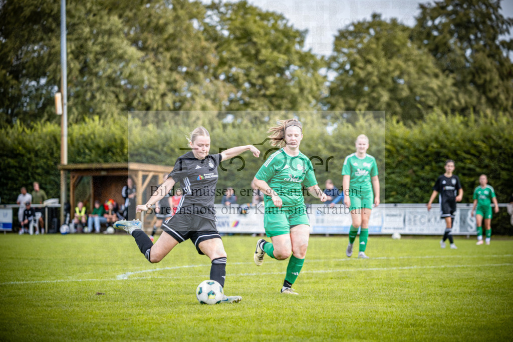 SG Bohmte/Ostercappeln/Schwagstorf - SG Hollenstede / Schwagstorf | Fr.-BZL Weser-Ems Süd · 1. Damen - SG Hollenstede / Schwagstorf · Sportplatz - Realisiert mit Pictrs.com