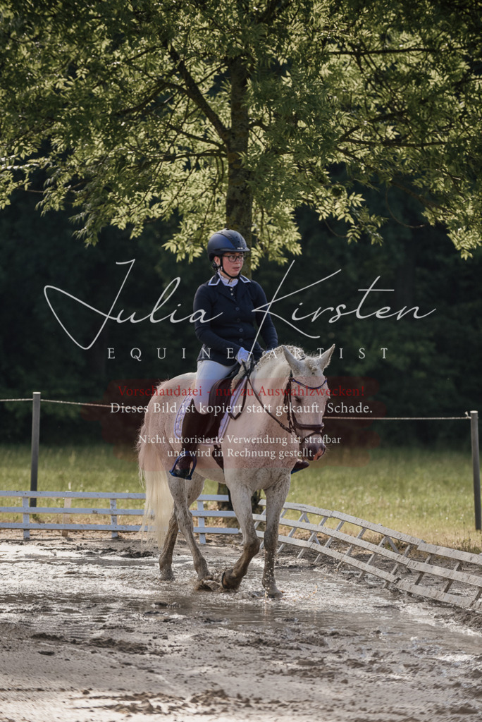 DSC_7933 | Pferde- und Turnierfotografie in Westsachsen. Pferdeportraits, Auftragszeichnungen und intuitive Kunst.