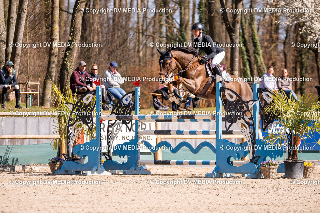 Kranichstein Tag 2-863 | dv-media-shop - Realisiert mit Pictrs.com