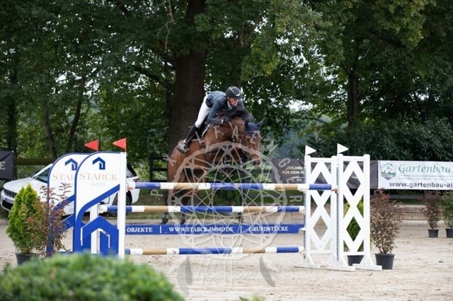 2B4A2396 | pixelfaenger - Realisiert mit Pictrs.com