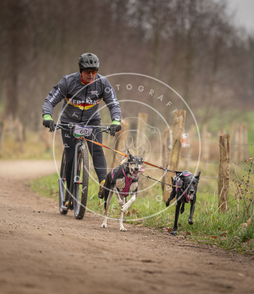 Pfotenfotografie_DV3A3224 | Hundefotografie, Tierfotograf, Pfotenfotografie, Fotoshooting Hund, Hunde Portrait, Hundesport, Hundeportraits, Heideshooting, Hunde, Sportfotograf, Hundefotograf, Turnierhundsport, THS,  - Realisiert mit Pictrs.com