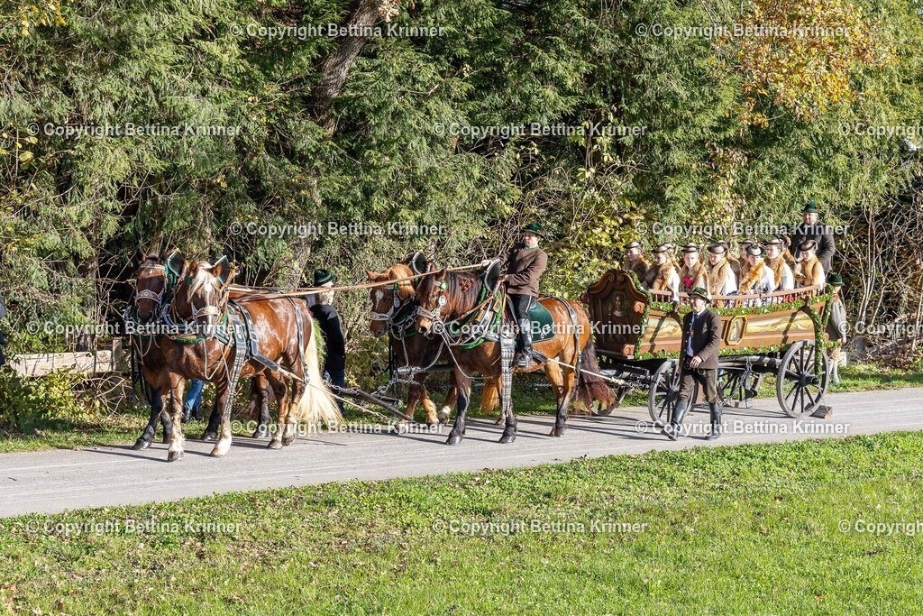 LBT24-107 | foto-bettina-krinner - Realisiert mit Pictrs.com