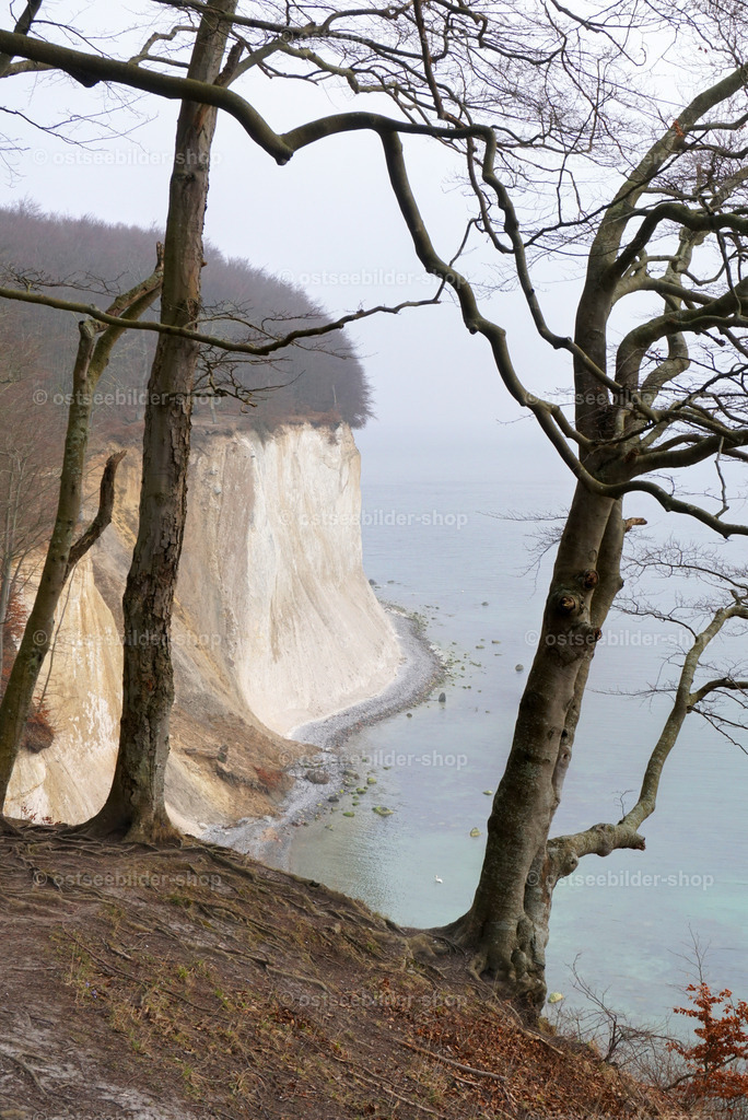 Wissower Ufer im Morgennebel | Der Blick fällt auf das Hochufer der Kreideküste im leichten Morgennebel.