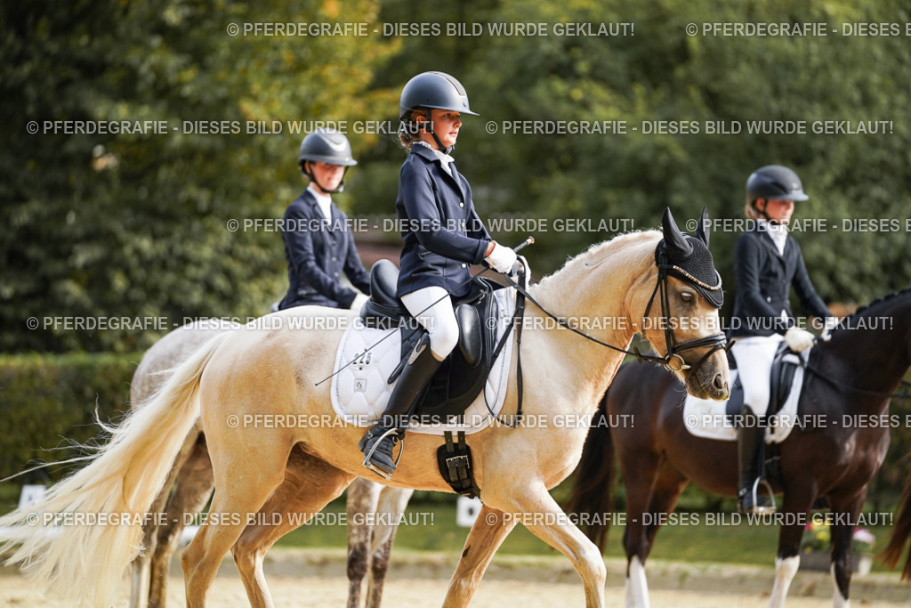 DSC04847 | Pferdegrafie