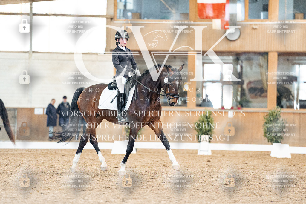 CK909866 | Turnierfotografie Pferdefotografie Trier Rheinland-Pfalz Pferdesport Reitsport Tierfotografie Sportfotografie Pferdevideo Pferdevideografie Equestrianvideography equestrianphotography  - Realisiert mit Pictrs.com