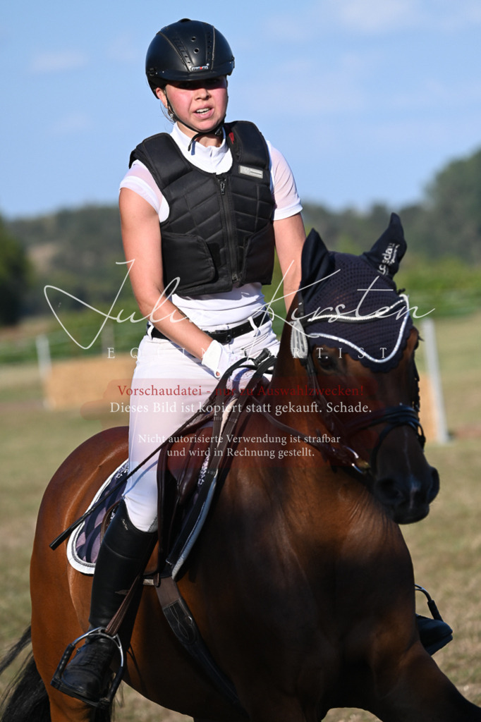 DSC_9166 | Pferde- und Turnierfotografie in Westsachsen. Pferdeportraits, Auftragszeichnungen und intuitive Kunst.