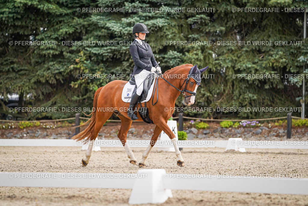 DSC01729 | Pferdegrafie