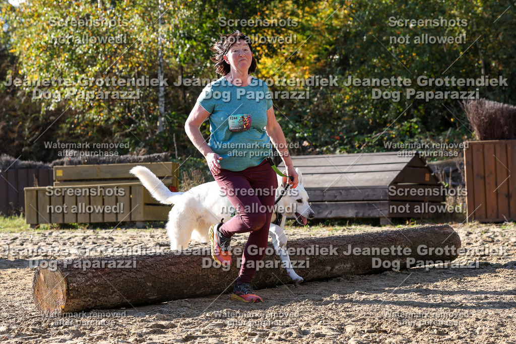 Dog Paparazzi - Strongdog 10-25-6055 | Dog Paparazzi Jeanette Grottendiek Fotografie & Videografie - Realisiert mit Pictrs.com