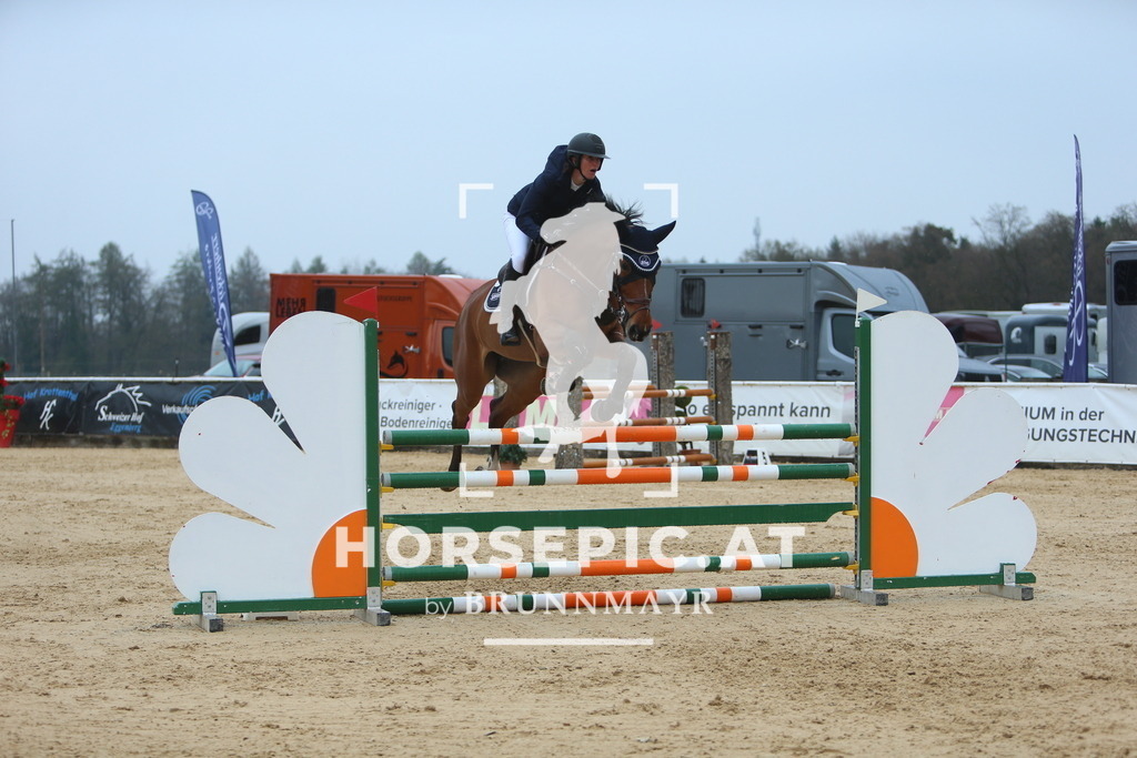 DL2Q6981 | Willkommen bei Brunnmayr - Design & Fotografie – Ihrem Spezialisten für Reitturniere und Pferdeveranstaltungen in Oberösterreich, Salzburg und Bayern! Seit über 17 Jahren sind wir leidenschaftlich dabei.