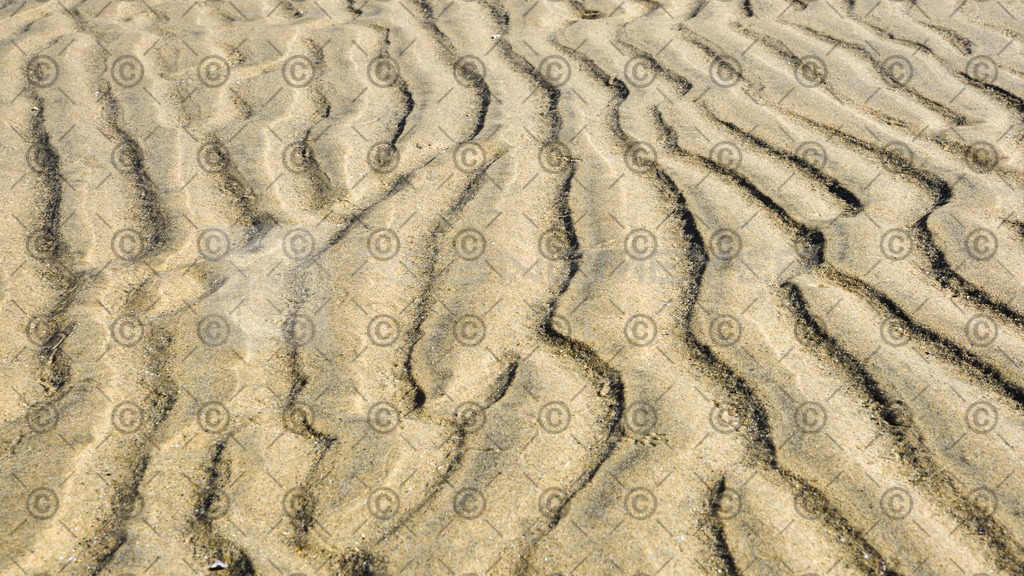 DSC_3736 | Res Niemeyer Photography - Realisiert mit Pictrs.com