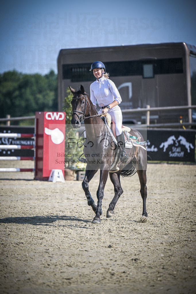 DOS_0197 | Entdecke hochwertige Reitturnierfotos von Foto Oger. Professionell, emotional und authentisch – jetzt Lieblingsmomente im Shop bestellen.Deutschlandweite Turnierfotografie. - Realisiert mit Pictrs.com
