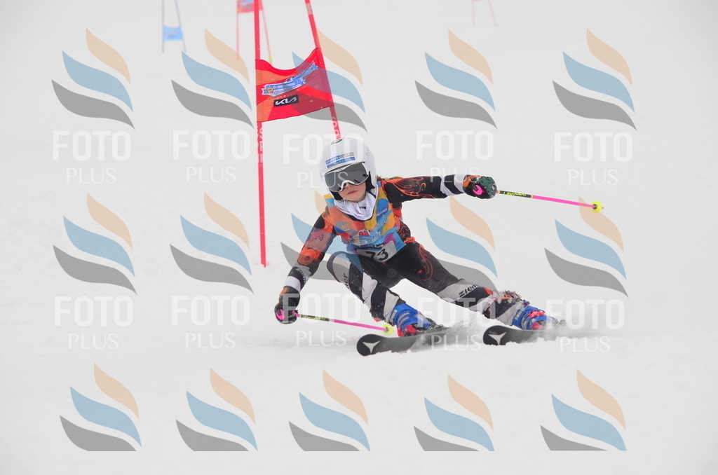 C1188 | holidayphoto