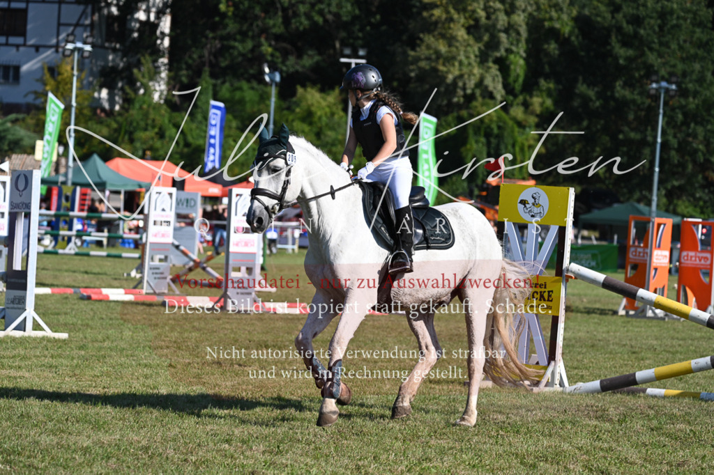 DSC_5198 | Pferde- und Turnierfotografie in Westsachsen. Pferdeportraits, Auftragszeichnungen und intuitive Kunst.