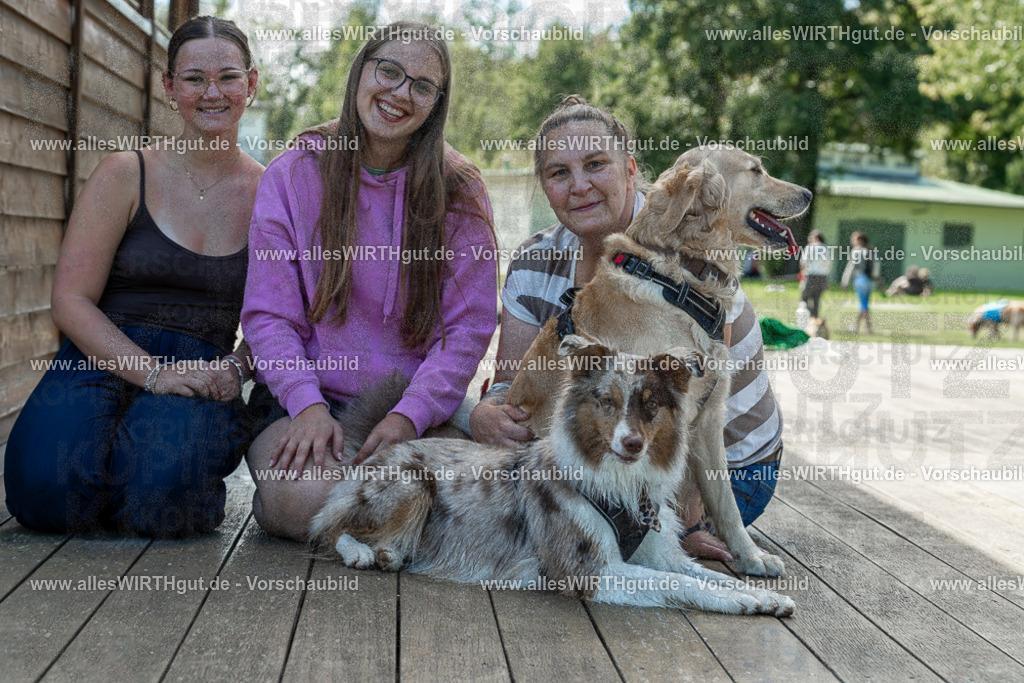 Hundeschwimmen_Volksbad_2026-allesWIRTHgut_Tierfotografie-2609061421-7R501069 | Professionelle Tierfotografie in Mönchengladbach von Daniel Wirth (allesWIRTHgut). Liebevolle & natürliche Bilder von Hunden & Katzen für unvergessliche Erinnerungen.