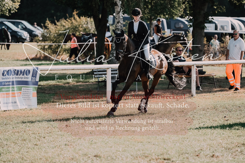 DSC_4809 | Pferde- und Turnierfotografie in Westsachsen. Pferdeportraits, Auftragszeichnungen und intuitive Kunst.
