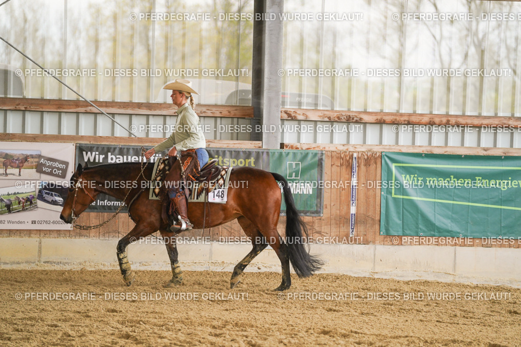 DSC09066 | Pferdegrafie