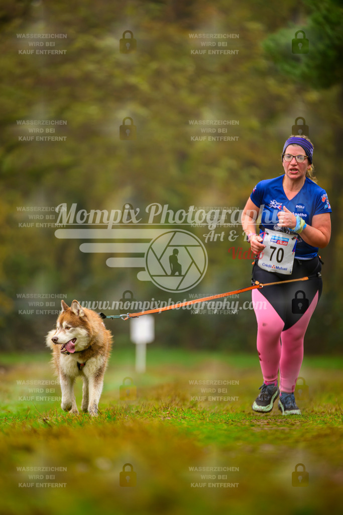 MompixPhotography_Bischwiller2025_Canicross-178 | mompixphotography
