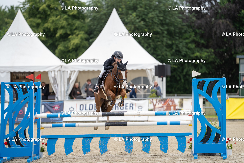 DSC06674 | Entdecke einzigartige Turnierfotos und persönliche Pferde- und Hundeportraits bei LA Photography. Für jeden Reiter und Pferd das perfekte Bild! Stöbere jetzt! - Realisiert mit Pictrs.com