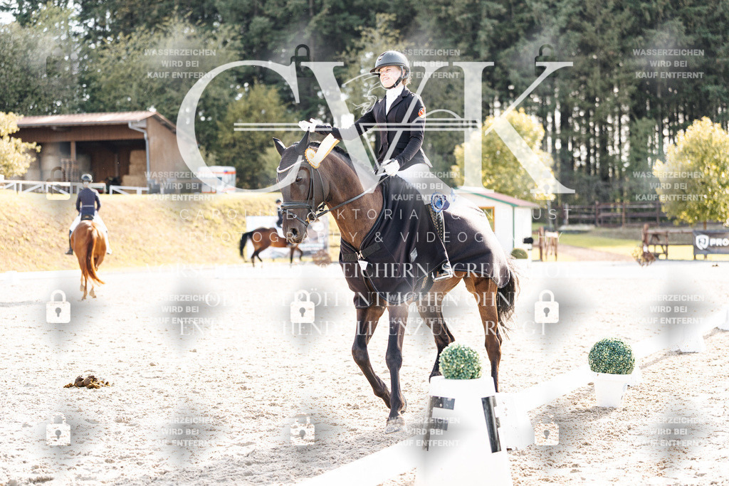 CK901818 | Turnierfotografie Pferdefotografie Trier Rheinland-Pfalz Pferdesport Reitsport Tierfotografie Sportfotografie Pferdevideo Pferdevideografie Equestrianvideography equestrianphotography  - Realisiert mit Pictrs.com