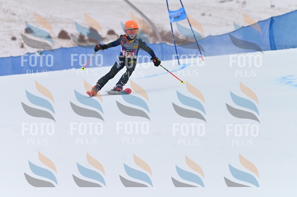 BGV_0745 | holidayphoto