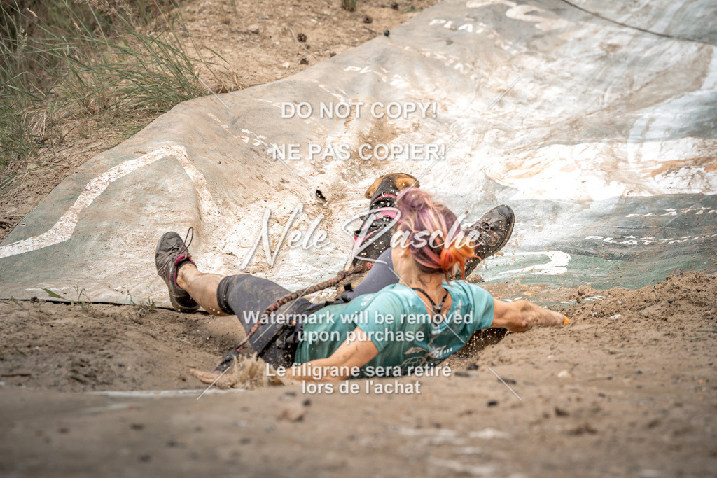nelerasche_sa1430-1500_126 | nelerasche