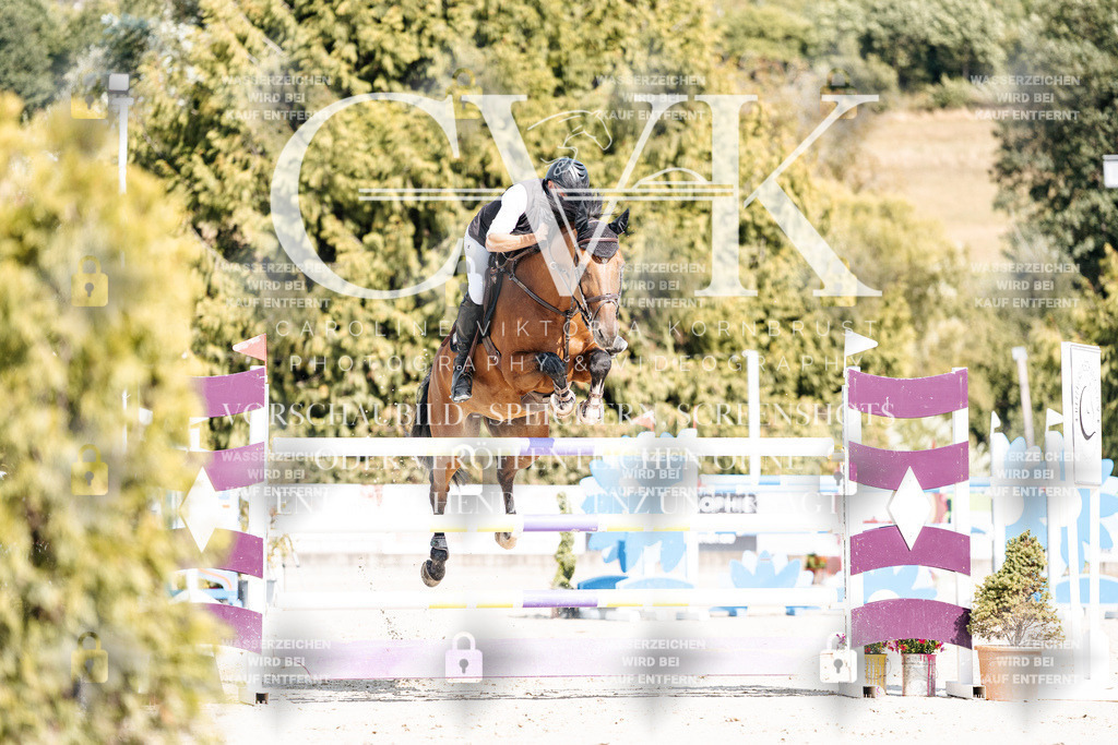 CK908864 | Turnierfotografie Pferdefotografie Trier Rheinland-Pfalz Pferdesport Reitsport Tierfotografie Sportfotografie Pferdevideo Pferdevideografie Equestrianvideography equestrianphotography  - Realisiert mit Pictrs.com