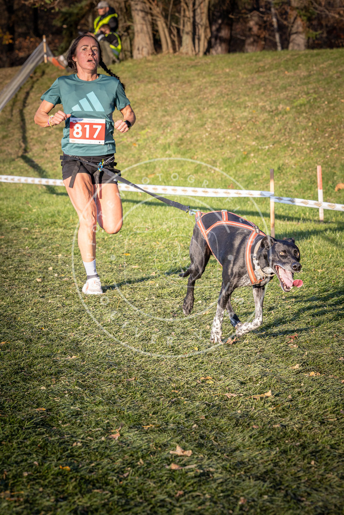 CaniXpix_0L8A0495 | Hundefotografie, Tierfotograf, Pfotenfotografie, Fotoshooting Hund, Hunde Portrait, Hundesport, Hundeportraits, Heideshooting, Hunde, Sportfotograf, Hundefotograf, Turnierhundsport, THS,  - Realisiert mit Pictrs.com