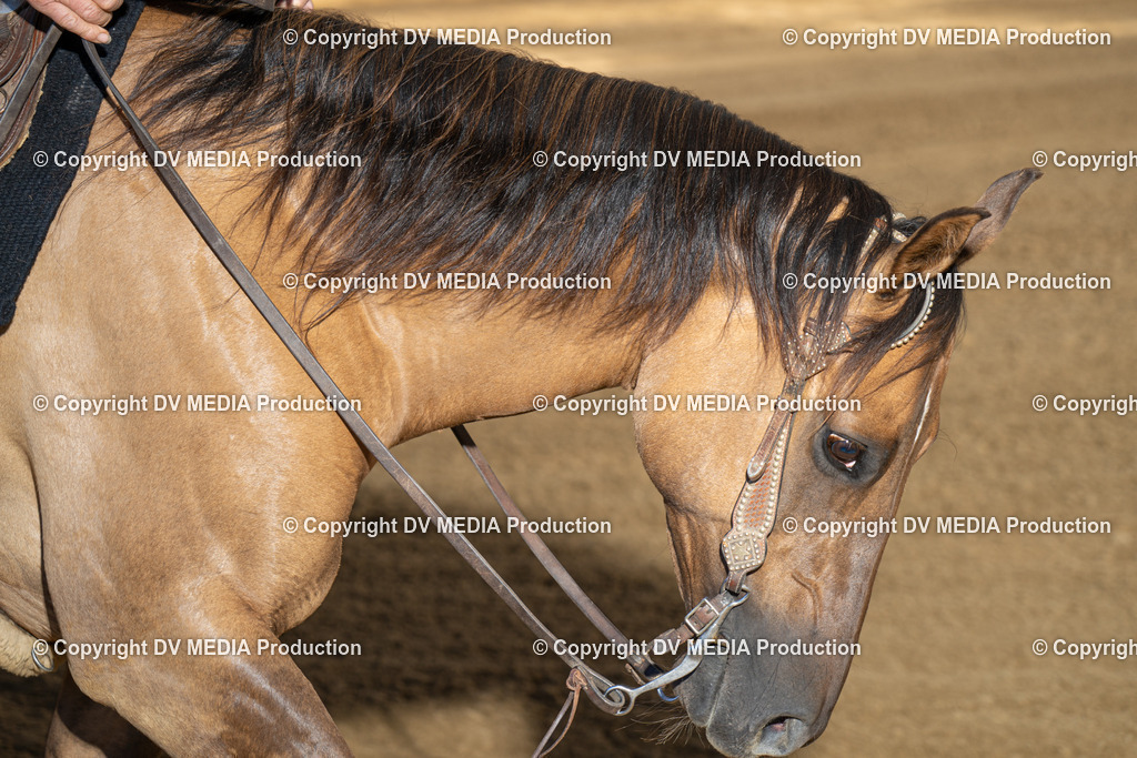 DSC00302 | dv-media-shop - Realisiert mit Pictrs.com