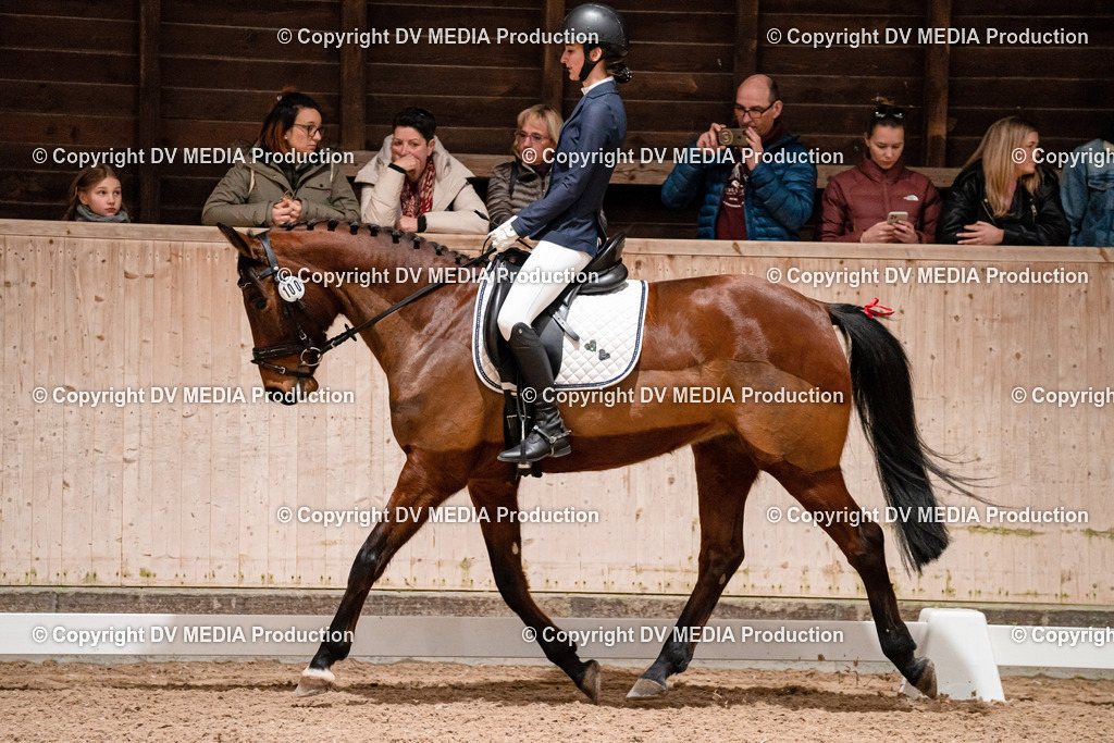 Dressur Tag 1 -344 | dv-media-shop - Realisiert mit Pictrs.com