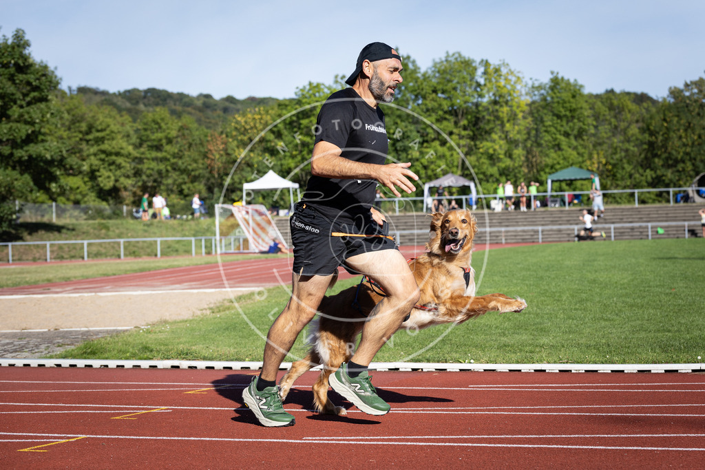 Pfotenfotografie_DV3A9685 | Hundefotografie, Tierfotograf, Pfotenfotografie, Fotoshooting Hund, Hunde Portrait, Hundesport, Hundeportraits, Heideshooting, Hunde, Sportfotograf, Hundefotograf, Turnierhundsport, THS,  - Realisiert mit Pictrs.com