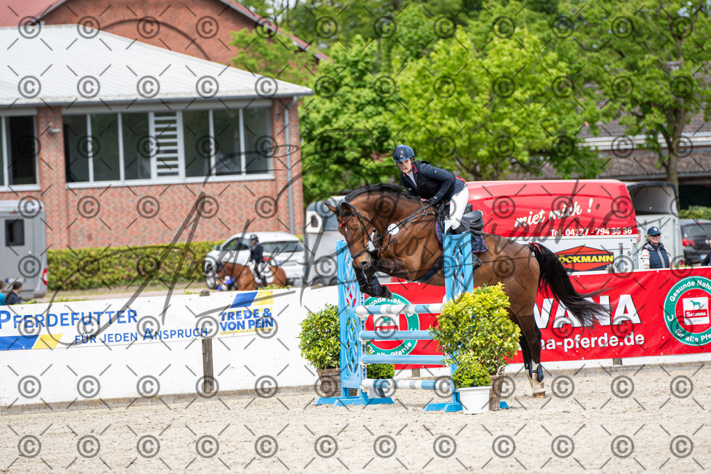 KPT_5481 | andre_photographic