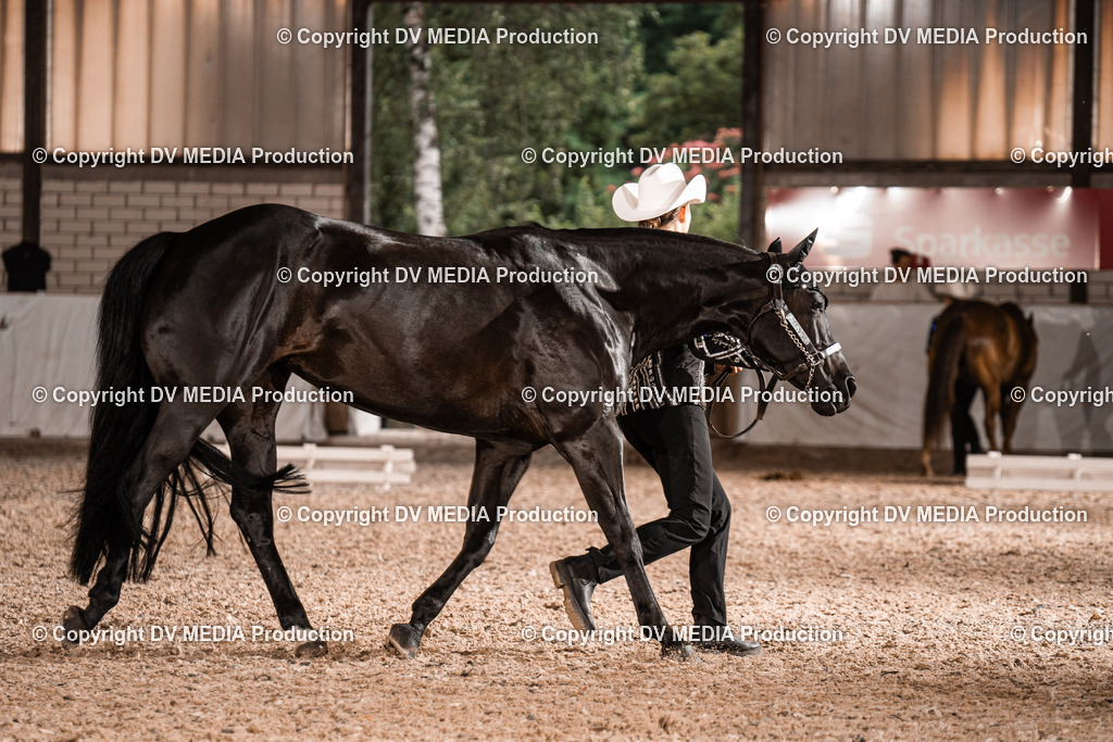 ZH200177 | dv-media-shop - Realisiert mit Pictrs.com