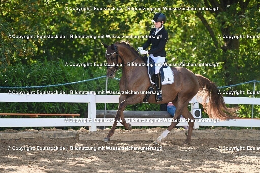 20230715_06_Dressurpferdeprfg. Kl.A_0435 | equistock