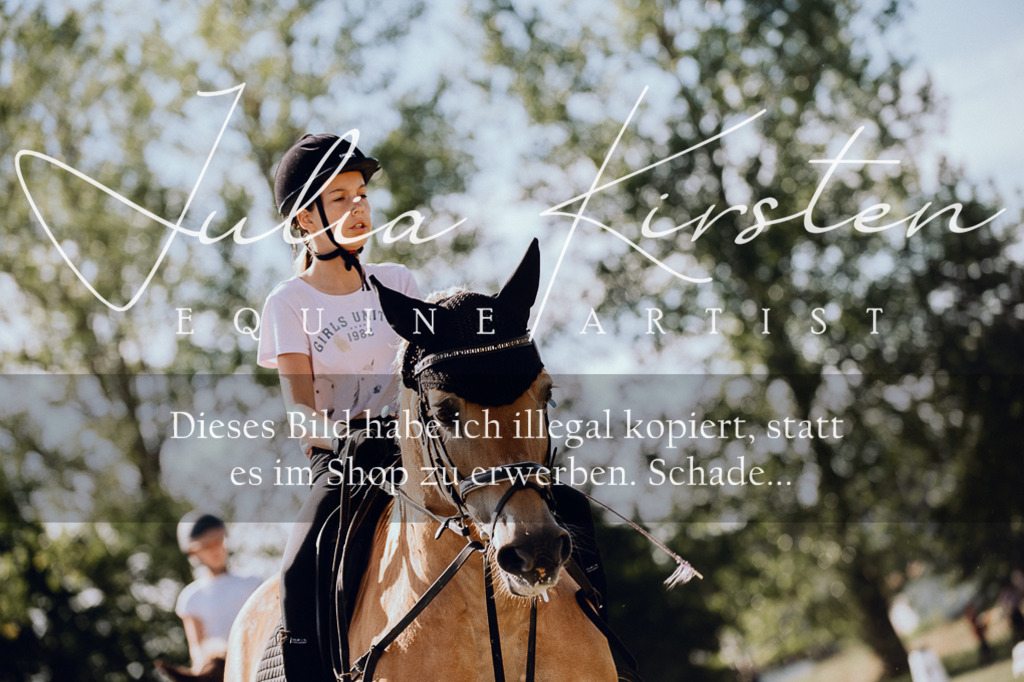 DSC_7182 | Pferde- und Turnierfotografie in Westsachsen. Pferdeportraits, Auftragszeichnungen und intuitive Kunst.