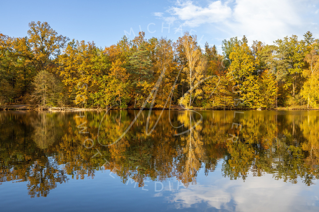 2024-10-23 Stuttgart Herbst Solitude 013 | Schwotte Media - Realisiert mit Pictrs.com