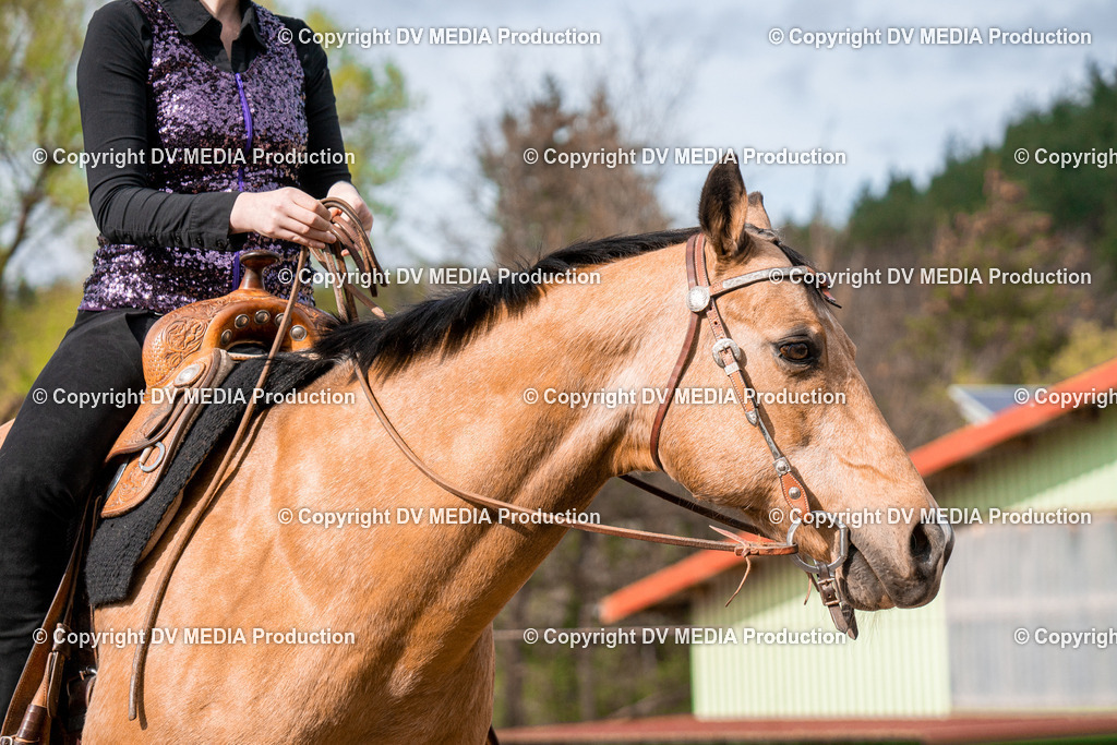 BAL02701 | dv-media-shop - Realisiert mit Pictrs.com